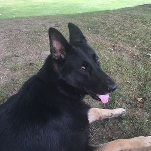 Meet your Posher, Isaiah